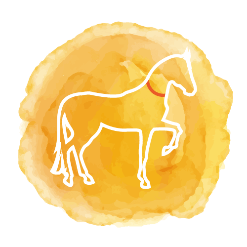 Bulle de sophrologie Equi-Libre-Moi - Delphine Clerbois Sophrologue